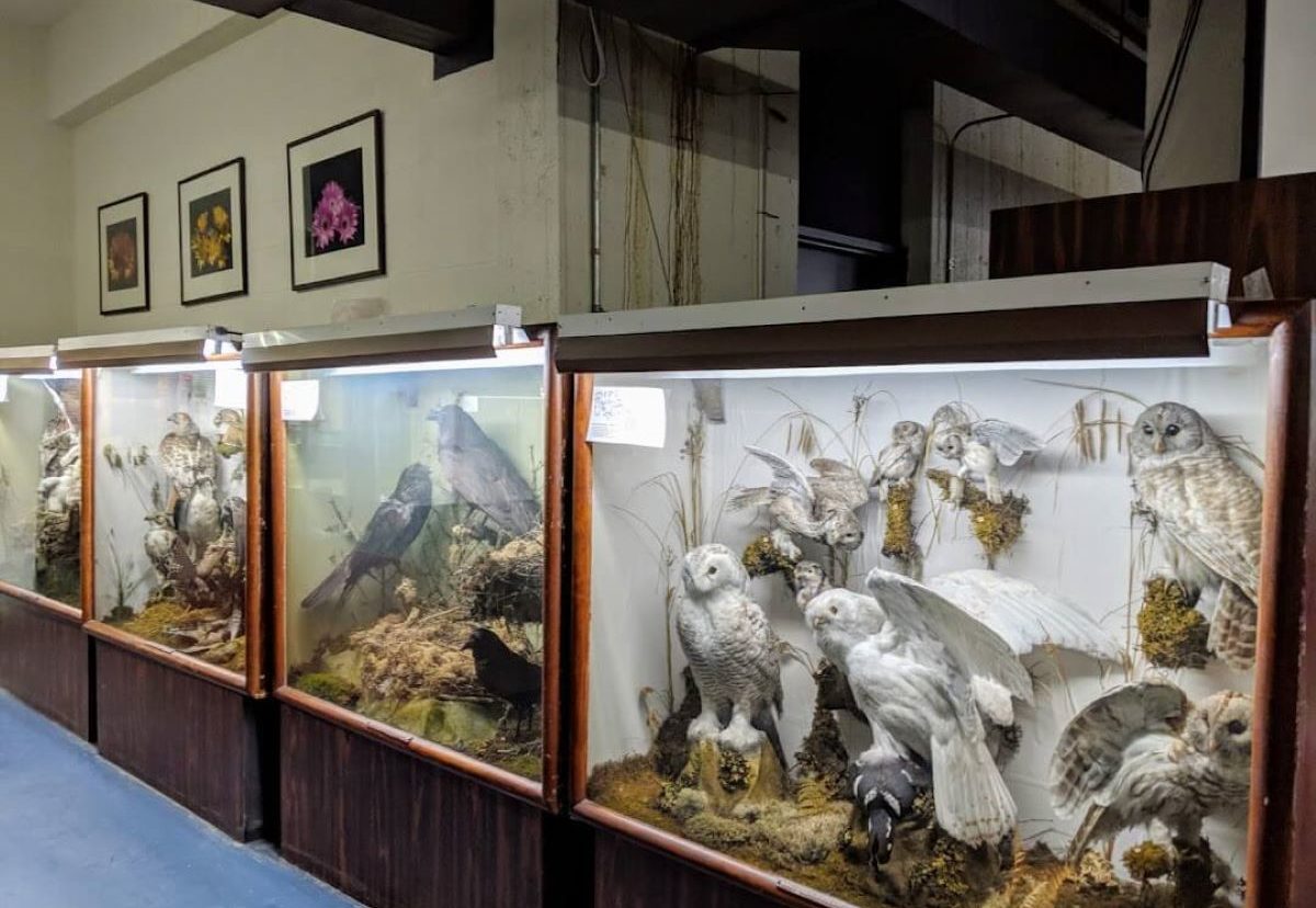 Thomas McCulloch museum