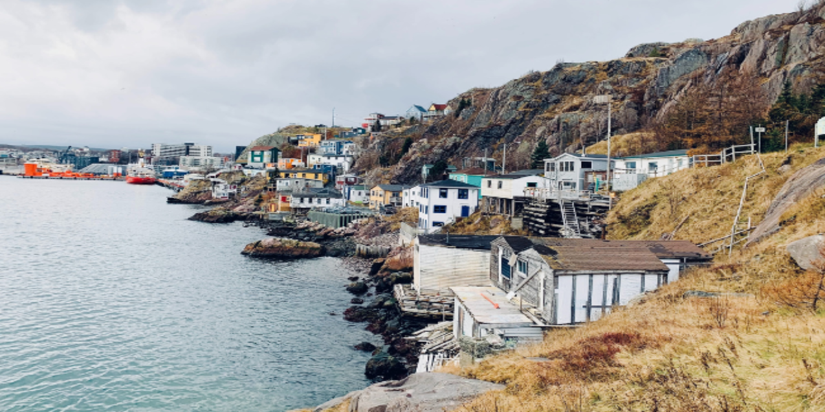nfld